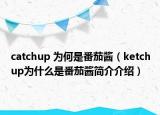 catchup 为何是番茄酱（ketchup为什么是番茄酱简介介绍）