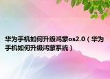 华为手机如何升级鸿蒙os2.0（华为手机如何升级鸿蒙系统）