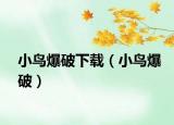 小鸟爆破下载（小鸟爆破）