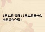 3月11日 节日（3月11日是什么节日简介介绍）