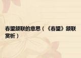 春望颔联的意思（《春望》颔联赏析）