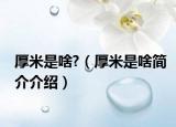 厚米是啥?（厚米是啥简介介绍）