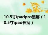 10.5寸ipadpro黑屏（10.5寸ipad长宽）