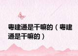 粤建通是干嘛的（粤建通是干嘛的）