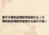 属于计算机应用软件的是什么（计算机的应用软件是指什么简介介绍）