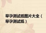 早孕测试纸图片大全（早孕测试纸）