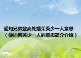 遥知兄弟登高处插茱萸少一人意思（便插茱萸少一人的意思简介介绍）