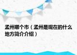 孟州哪个市（孟州是现在的什么地方简介介绍）