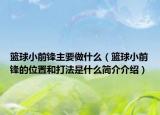 篮球小前锋主要做什么（篮球小前锋的位置和打法是什么简介介绍）