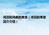 鸿羽和鸿鑫的寓意（鸿羽的寓意简介介绍）