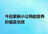 今日更新小公鸡的营养价值及功效
