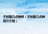 子时是几点钟啊（子时是几点钟简介介绍）