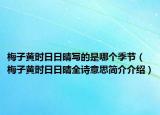 梅子黄时日日晴写的是哪个季节（梅子黄时日日晴全诗意思简介介绍）
