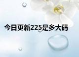 今日更新225是多大码