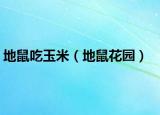 地鼠吃玉米（地鼠花园）