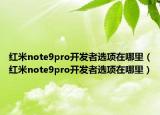红米note9pro开发者选项在哪里（红米note9pro开发者选项在哪里）