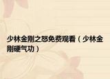 少林金刚之怒免费观看（少林金刚硬气功）
