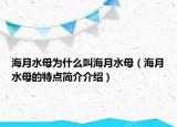 海月水母为什么叫海月水母（海月水母的特点简介介绍）