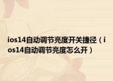 ios14自动调节亮度开关捷径（ios14自动调节亮度怎么开）