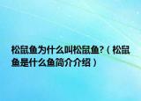 松鼠鱼为什么叫松鼠鱼?（松鼠鱼是什么鱼简介介绍）