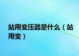 站用变压器是什么（站用变）