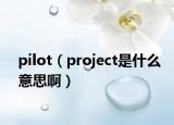 pilot（project是什么意思啊）