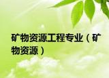 矿物资源工程专业（矿物资源）