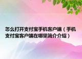怎么打开支付宝手机客户端（手机支付宝客户端在哪里简介介绍）