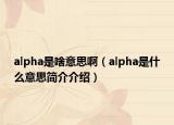 alpha是啥意思啊（alpha是什么意思简介介绍）