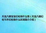 天龙八部宝宝幻化有什么用（天龙八部幻化与不幻化有什么区别简介介绍）