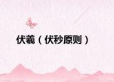 伏羲（伏秒原则）