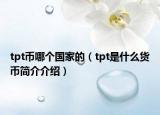 tpt币哪个国家的（tpt是什么货币简介介绍）