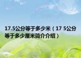 17.5公分等于多少米（17 5公分等于多少厘米简介介绍）