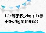 1.1t等于多少kg（1t等于多少kg简介介绍）