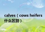 calves（cows heifers什么区别）