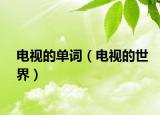 电视的单词（电视的世界）
