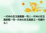 一片冰心在玉壶前面一句（一片冰心在玉壶的前一句一片冰心在玉壶的上一句是什么）