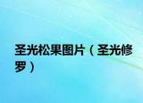 圣光松果图片（圣光修罗）