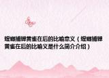 螳螂捕蝉黄雀在后的比喻意义（螳螂捕蝉黄雀在后的比喻义是什么简介介绍）