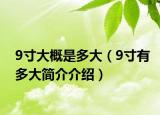 9寸大概是多大（9寸有多大简介介绍）