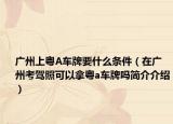 广州上粤A车牌要什么条件（在广州考驾照可以拿粤a车牌吗简介介绍）