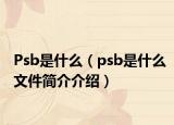 Psb是什么（psb是什么文件简介介绍）