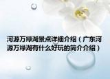 河源万绿湖景点详细介绍（广东河源万绿湖有什么好玩的简介介绍）