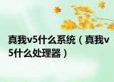 真我v5什么系统（真我v5什么处理器）