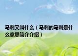 马刺又叫什么（马刺的马刺是什么意思简介介绍）