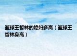 篮球王哲林的媳妇多高（篮球王哲林身高）