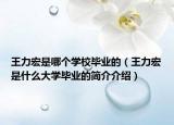 王力宏是哪个学校毕业的（王力宏是什么大学毕业的简介介绍）