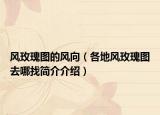 风玫瑰图的风向（各地风玫瑰图去哪找简介介绍）