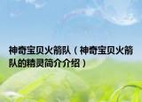 神奇宝贝火箭队（神奇宝贝火箭队的精灵简介介绍）