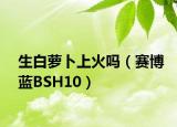 生白萝卜上火吗（赛博蓝BSH10）